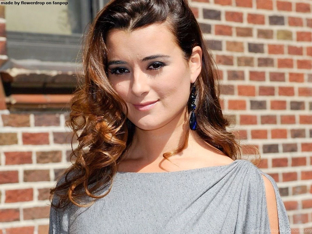Cote De Pablo Wallpapers   Cote De Pablo Wallpapers (30989918)   Fanpop