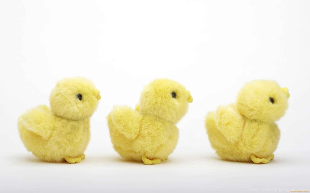 Cute Easter Chicks HD Wallpapers