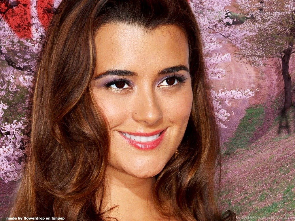 Cote De Pablo Wallpapers   Cote De Pablo Wallpapers (30990227)   Fanpop