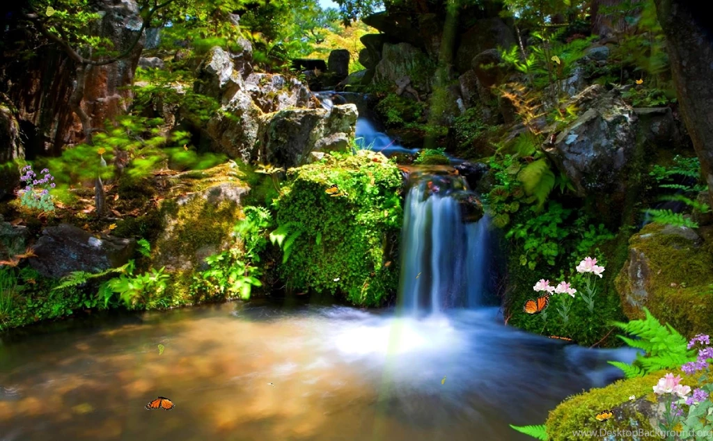 Animated Screensavers