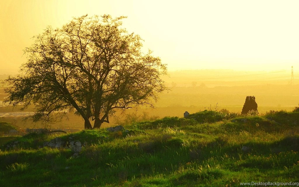 Sunrise Screensaver