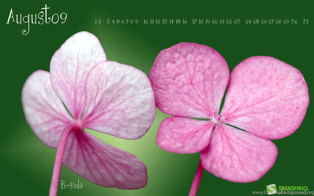 Smashing Wallpapers — Free Full HD Wallpaper. Widescreen HQ ...