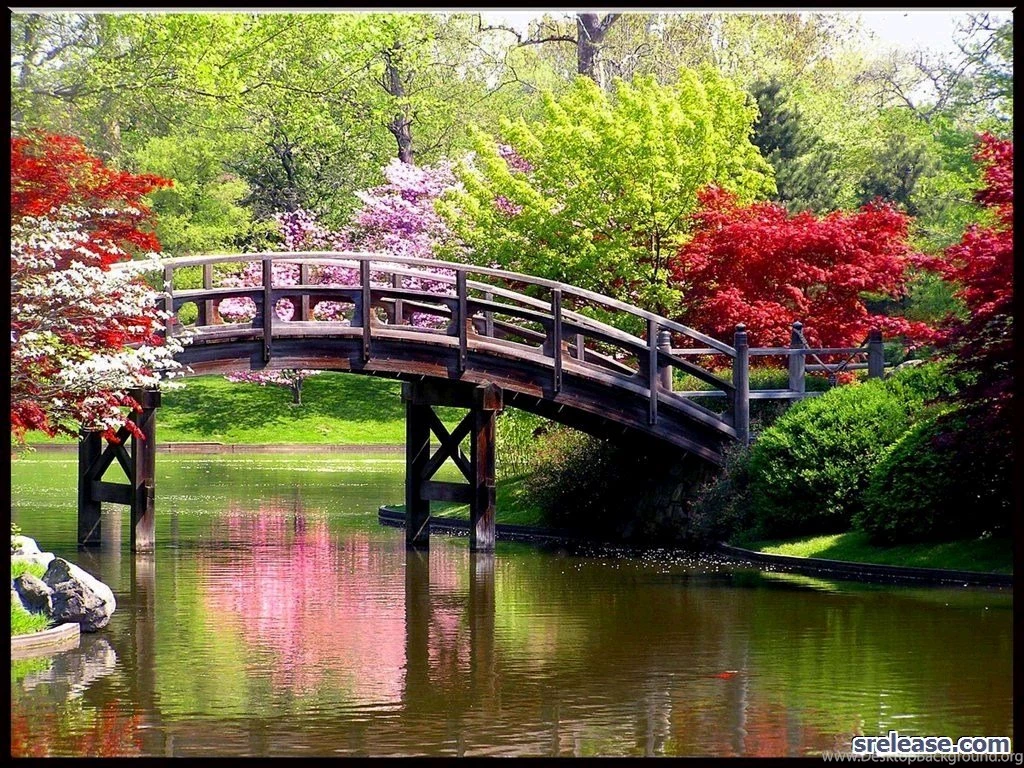 Spring Screen Savers   Wallpapers High Definition