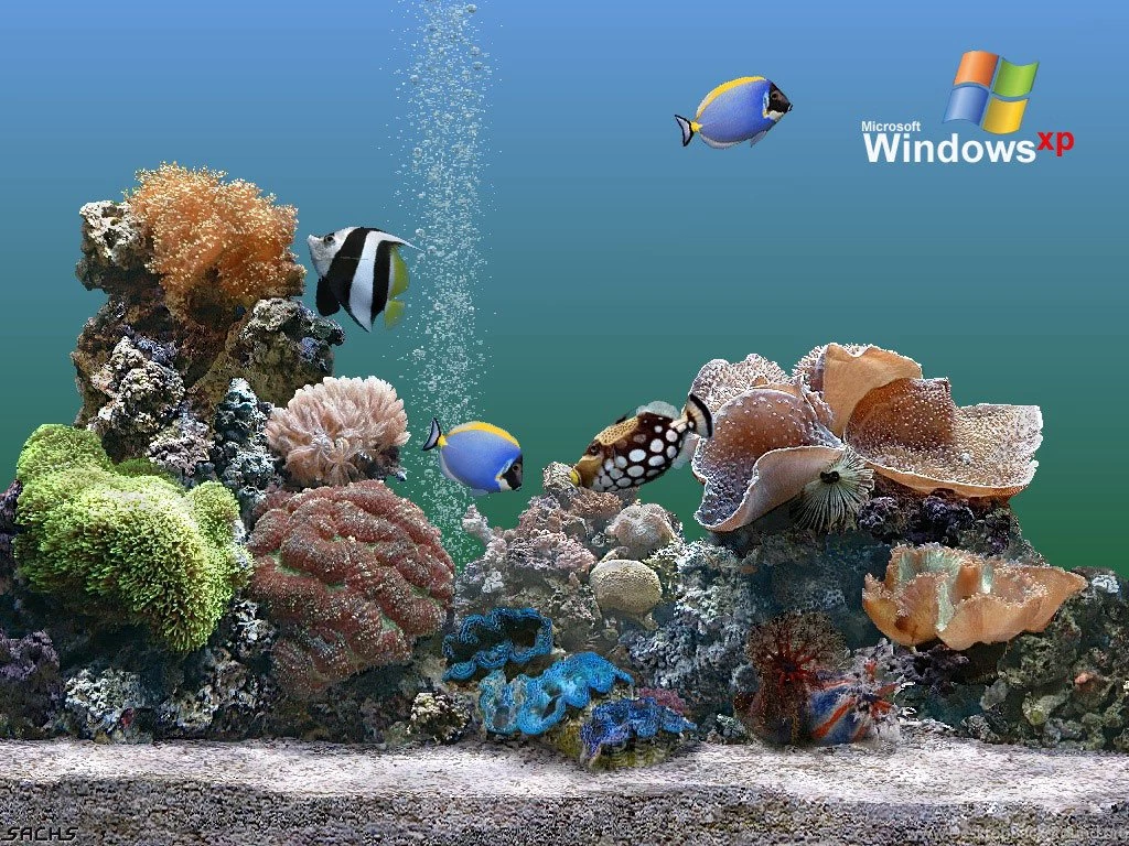 Charming Screensavers Site: Screensaver Wall Paper