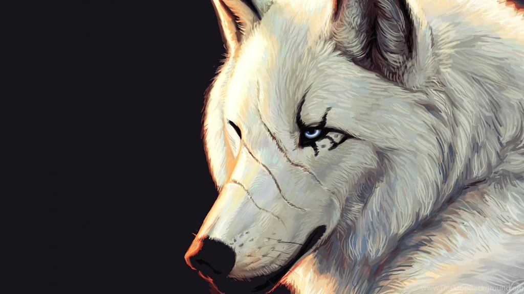 Wolf Wallpapers Hd