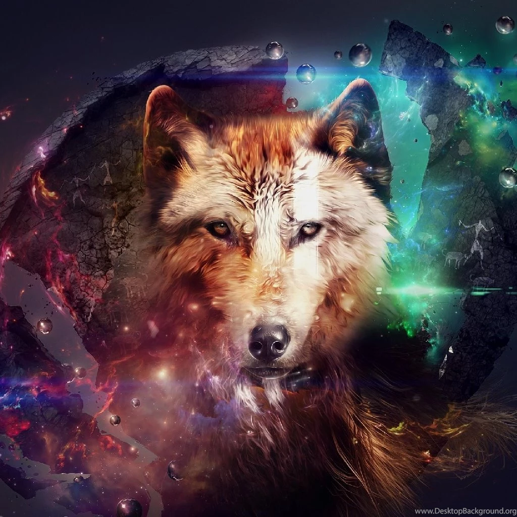 Wolf Free Ipad Wallpapers