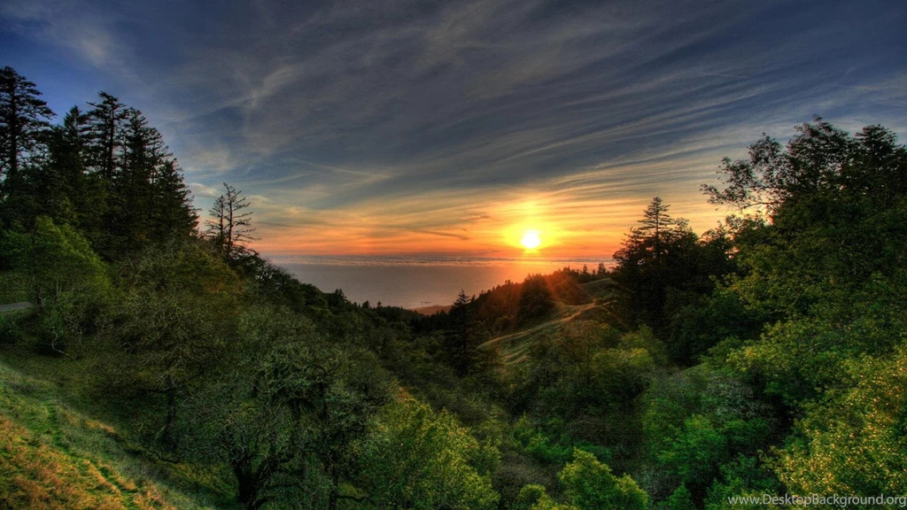 Nature Graphics HD 1920x1080