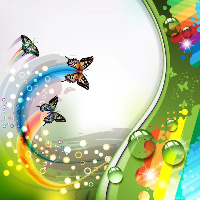Colorful Flower And Butterfly Backgrounds Vector