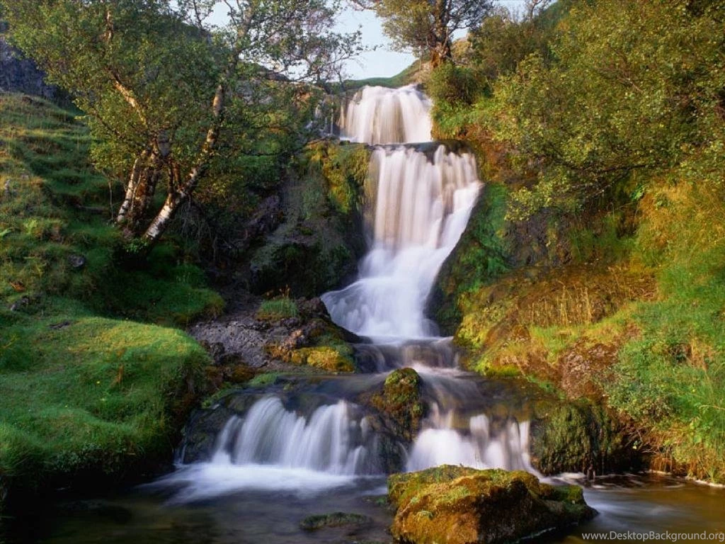 Nature Graphics And Animated Gifs. Nature