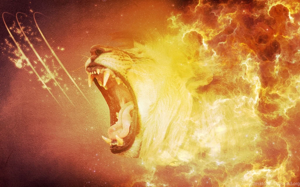 Lion Roar Wallpapers Collections 3326   HD Wallpapers Site