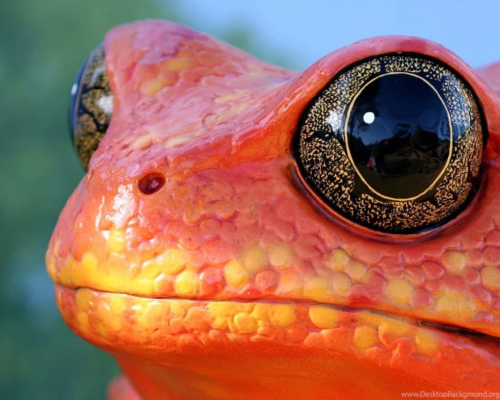 Free Halloween Wallpapers Mmw Blog: Reptiles Wallpapers Snakes ...