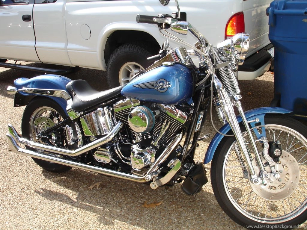 Anybody Watched "WILD HOGS"?   Page 6   Harley Davidson Forums