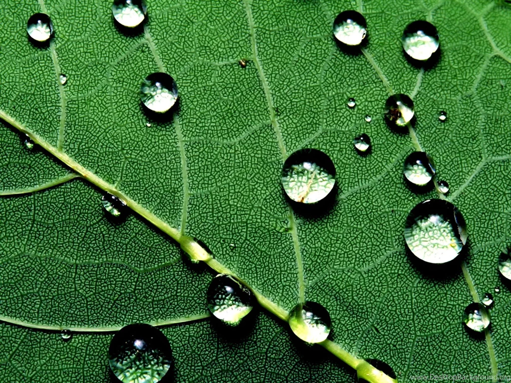 1011778 Drops Wallpapers