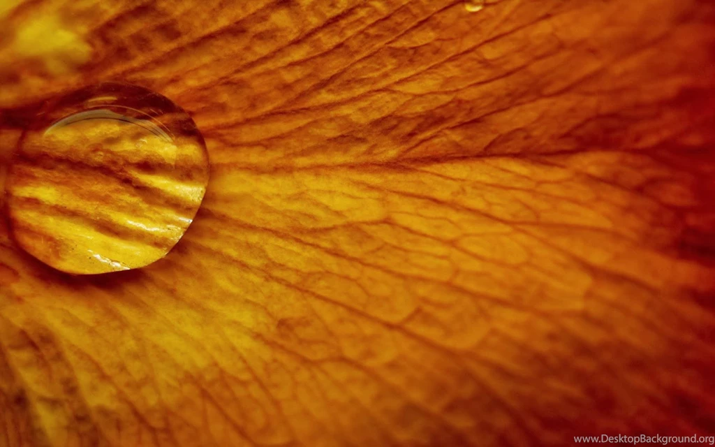 20 Water Drops Wallpapers