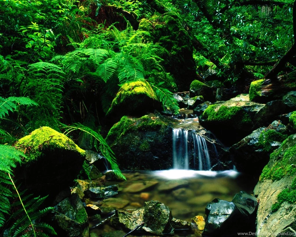 Nature Wallpapers Scenes