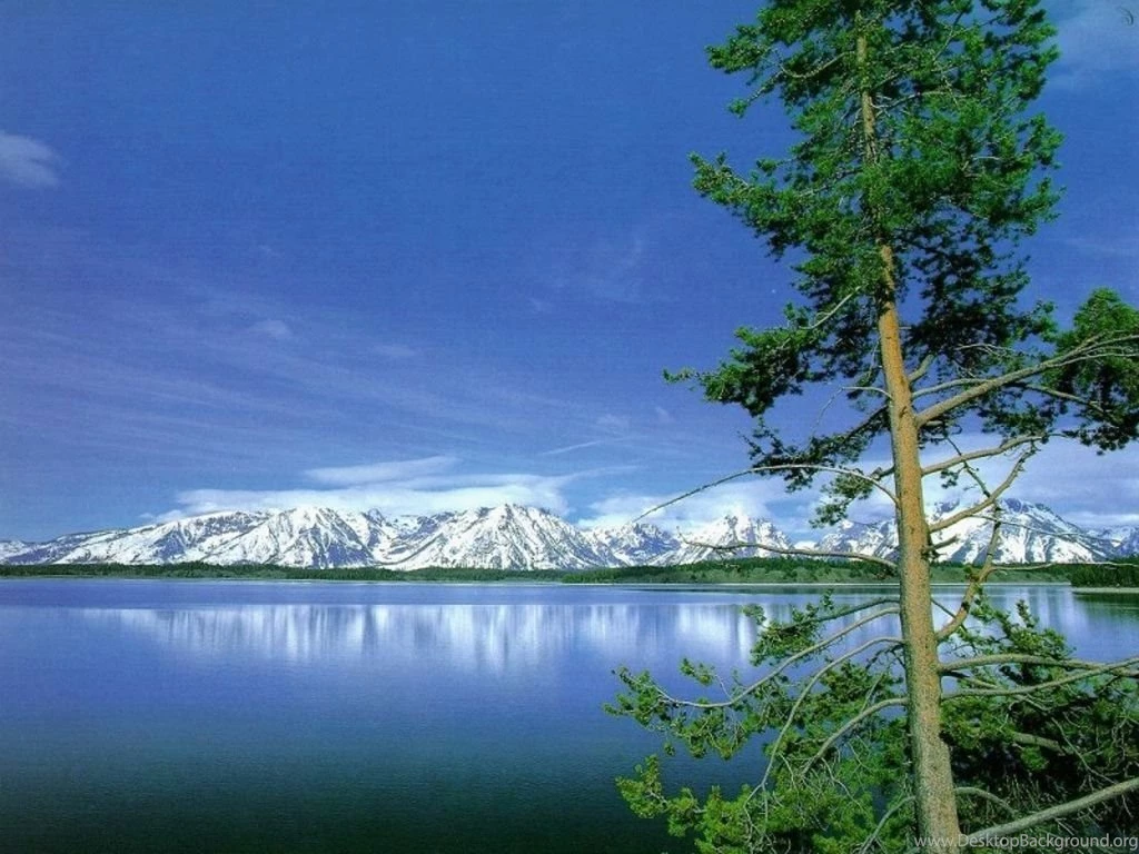 Nature Wallpapers: 09/13/11