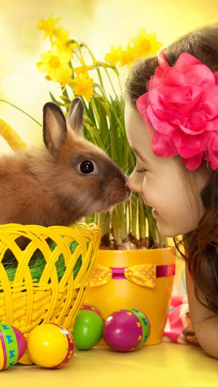 Cute Iphone 6 Wallpapers Hd Desktop Background