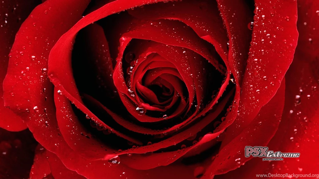 Red Images Collection (34+)