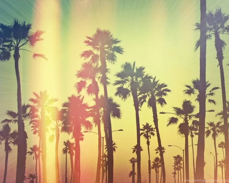 Summer Tumblr Wallpapers On Pinterest