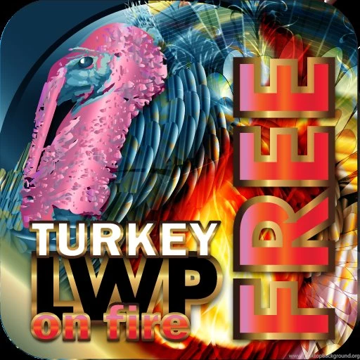 Amazon.com: Turkey On Fire FREE LWP HD+ Thanksgiving Live ...