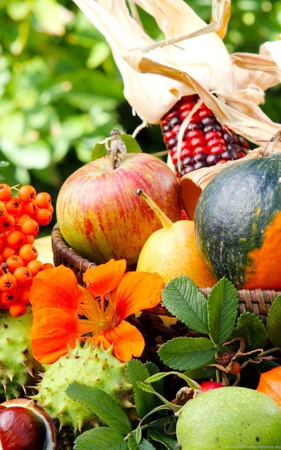 Thanksgiving Live Wallpapers   Android Apps On Google Play