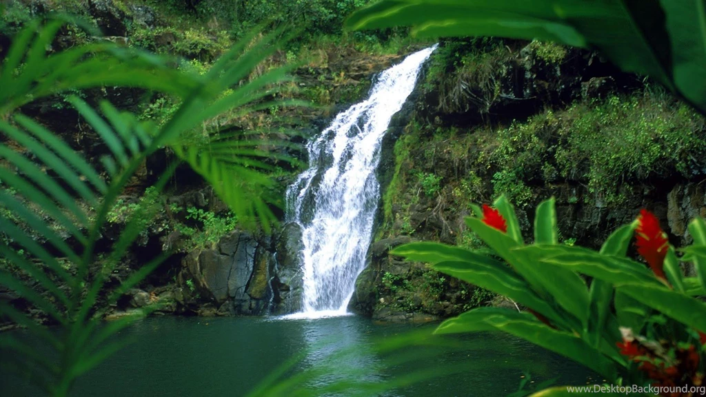 3D Waterfall HD Wallpapers Android Apps On Google Play