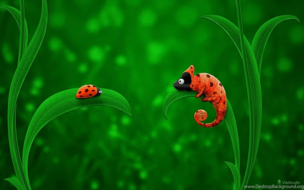Chameleon Vs Ladybird Windows 8 Wallpapers Wallpapers X