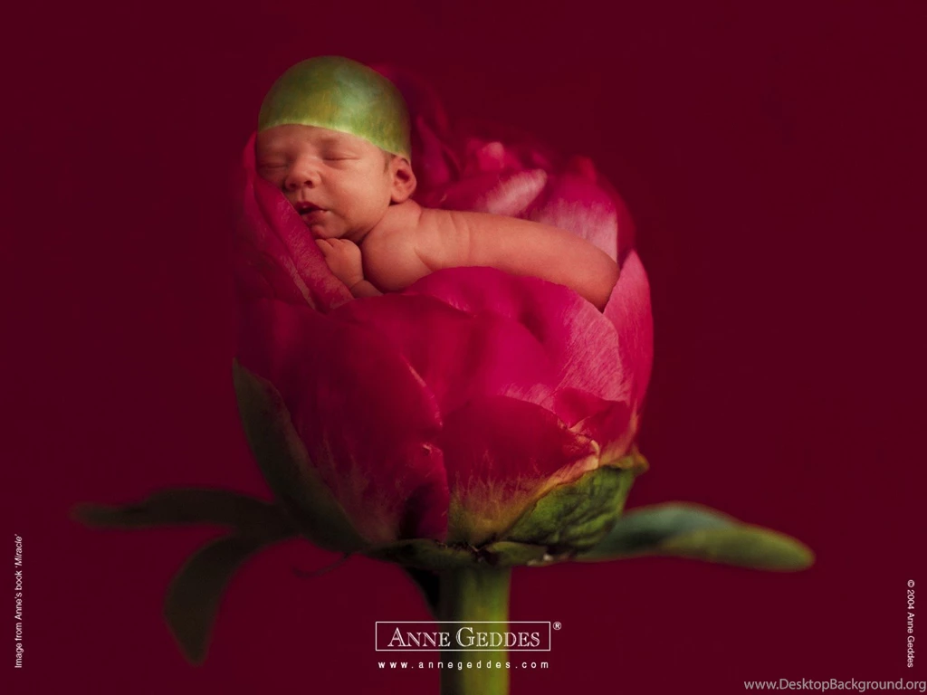 New Cute Baby Wallpapers Wallpapers   Free New Cute Baby ...