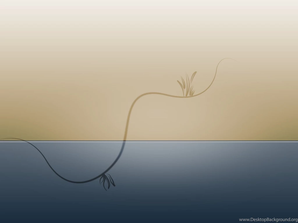 Wallpapers Simple