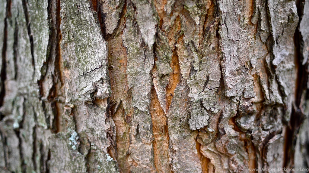 Tree Bark ImgMob