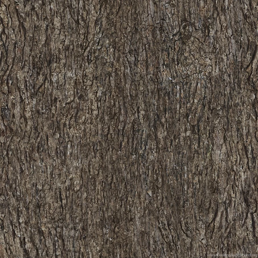 Tileable Tree Bark Texture By Ftourini On DeviantArt