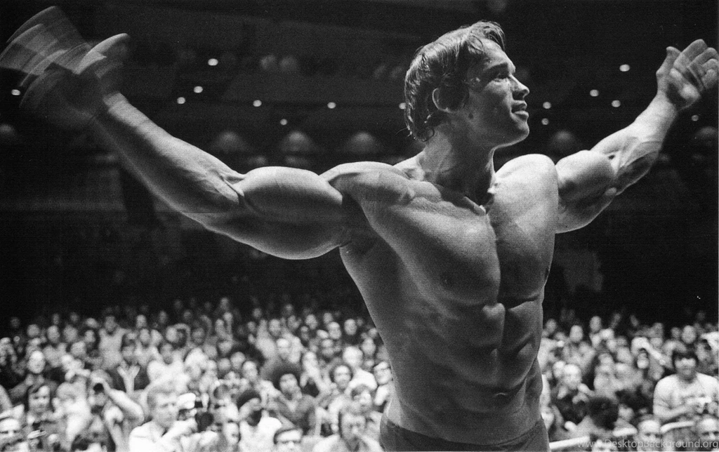 Arnold Schwarzenegger Bodybuilding HD Wallpapers