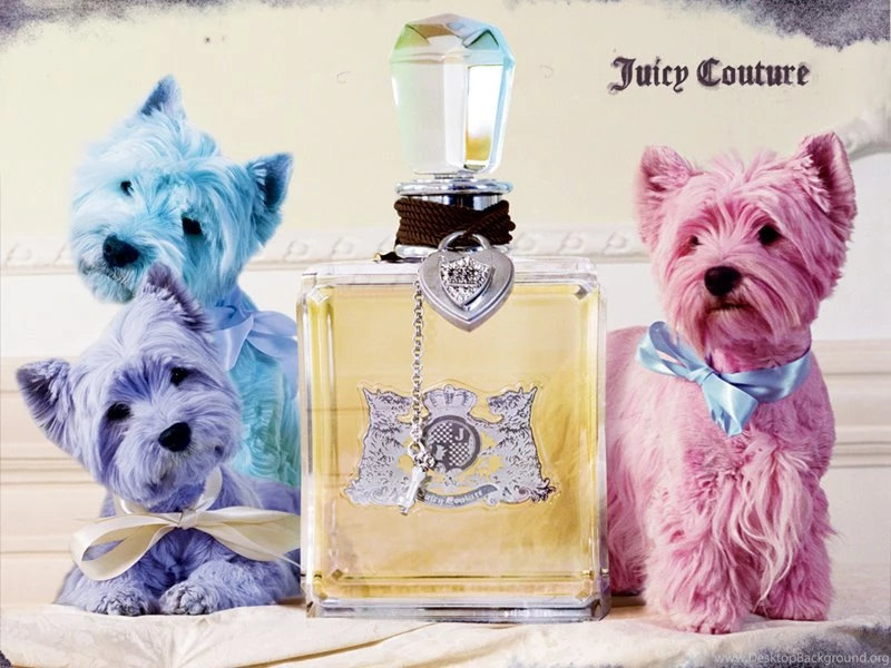 Cute Juicy Wallpapers Juicy Couture Wallpapers (59229) Fanpop