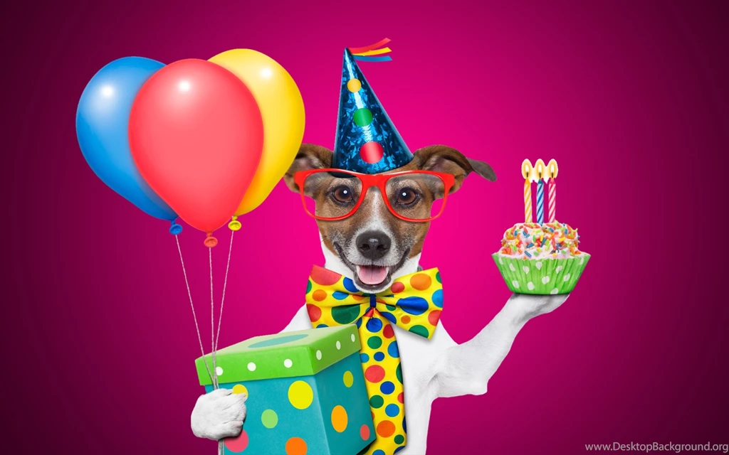 Happy Birthday Wishes Funny Wallpapers