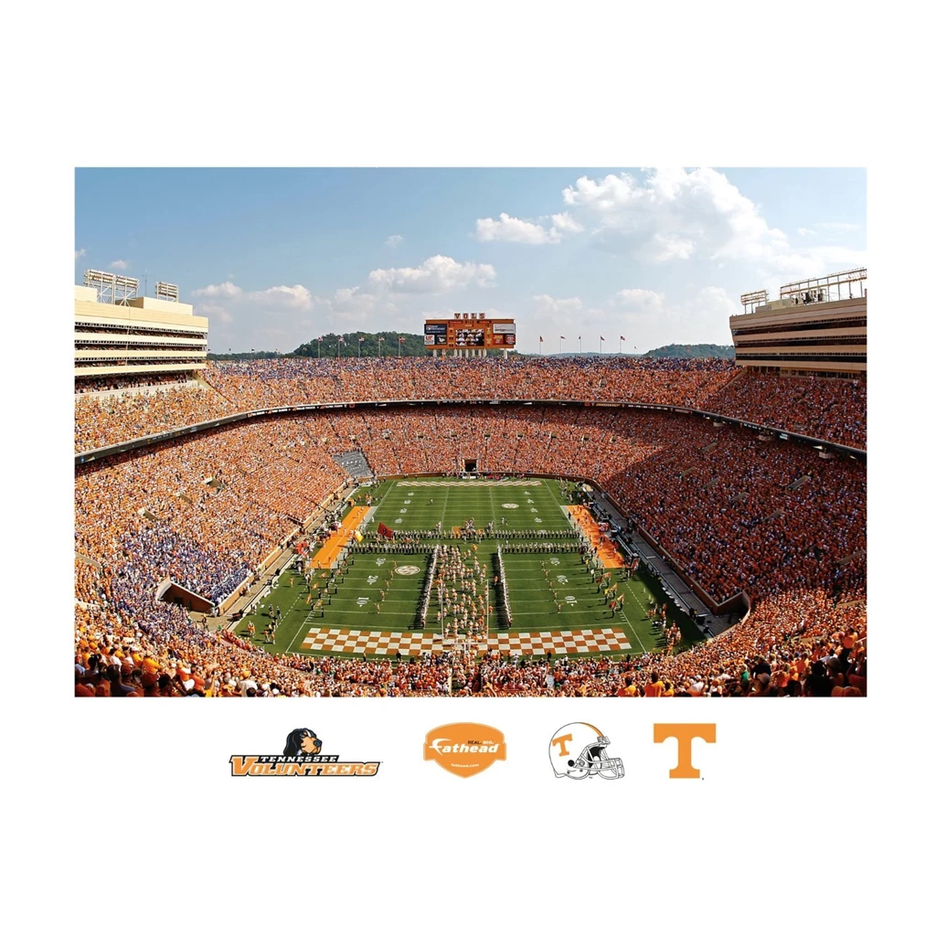 Amazon.com : NCAA Tennessee Volunteers Neyland Stadium Mural Wall ...