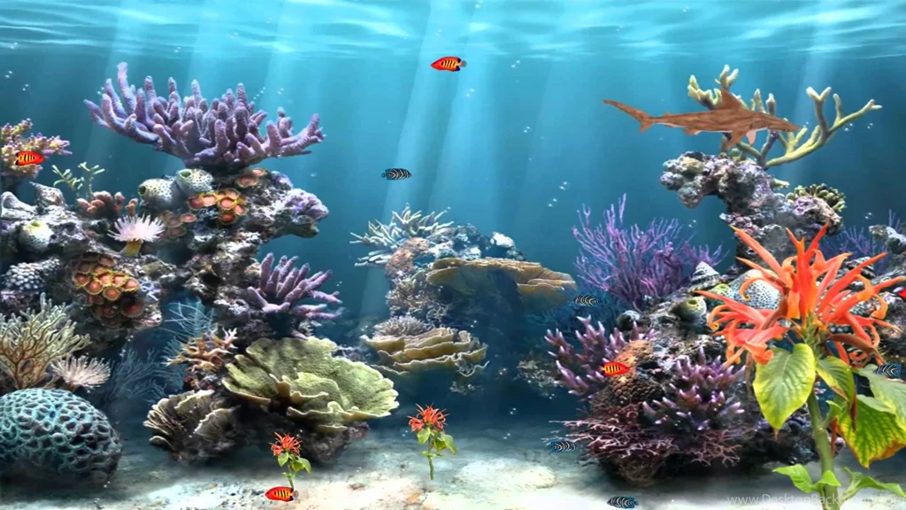 Aquarium Wallpapers 22 – HD Wallpaper, Wallpapers Pics The Best ...