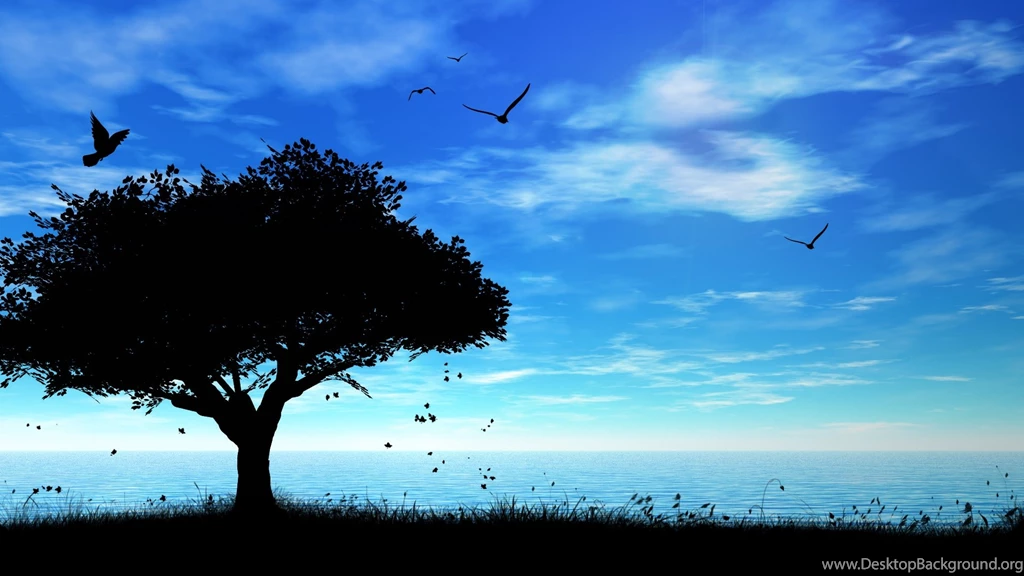 High Quality Wallpapers HD Wallpapers Desktop Wallpapers ...