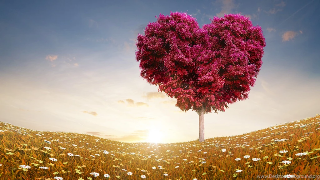 Love Wallpapers Hd