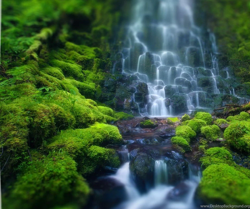 Artistic Beautiful Htc Sense Hd Wallpapers
