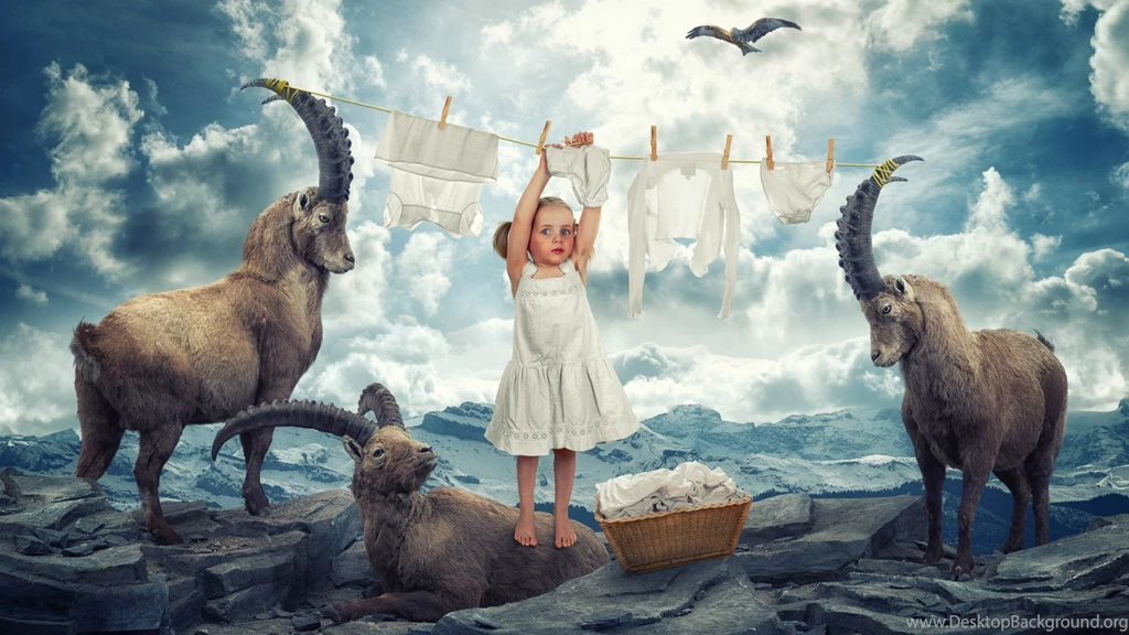 Girl Do Laundry Wallpapers And Images   Wallpapers, Pictures, Photos