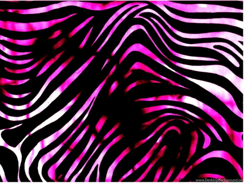 Pink Zebra Wallpapers