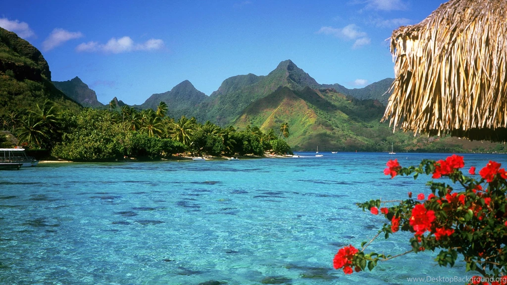 Bora Bora Wallpapers Iphone 5