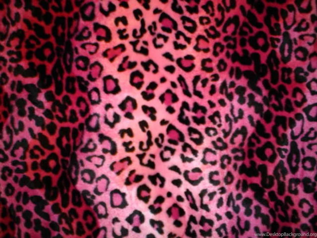 Free Download Animal Print Rhi Mac Graveyard Queen On Myspace ...