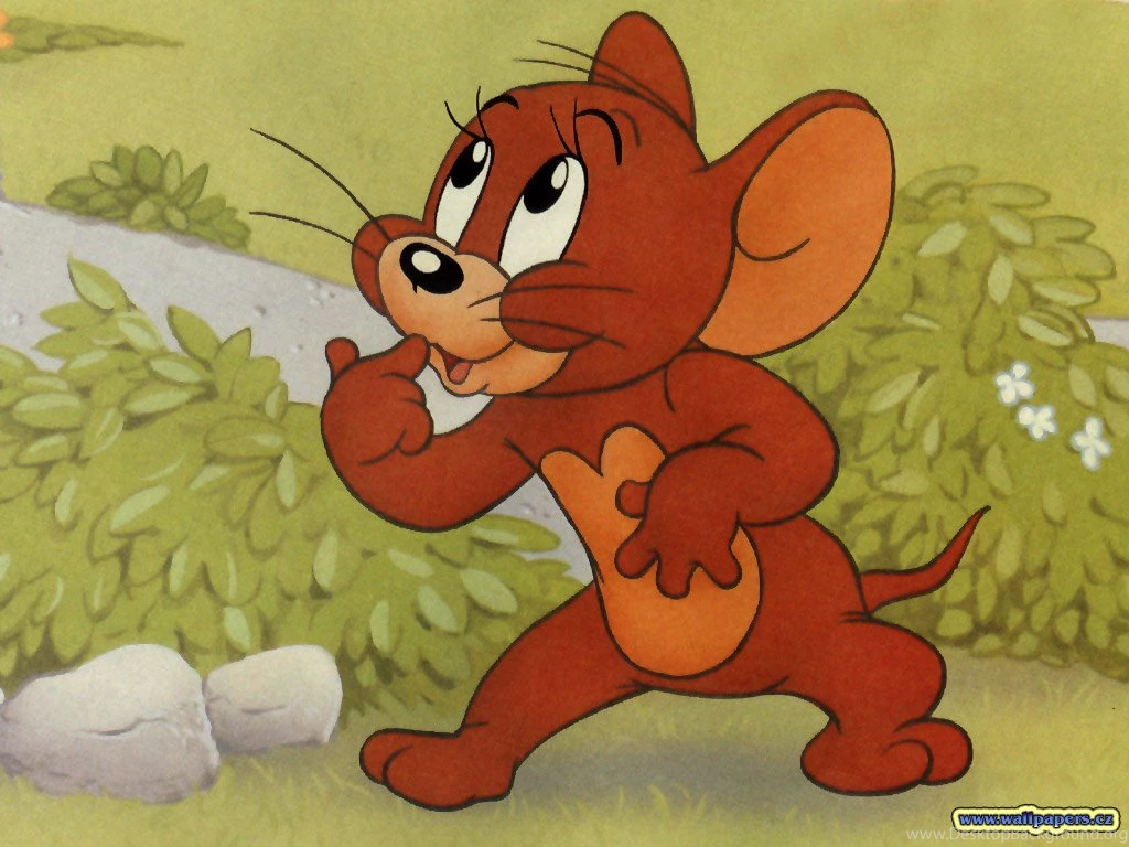 New Tom And Jerry Wallpapers For Nexus 6   Cartoons Wallpapers