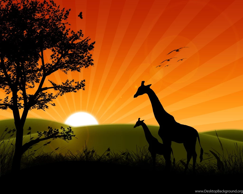 Wallpapers Animated Sunrise 1280x1024