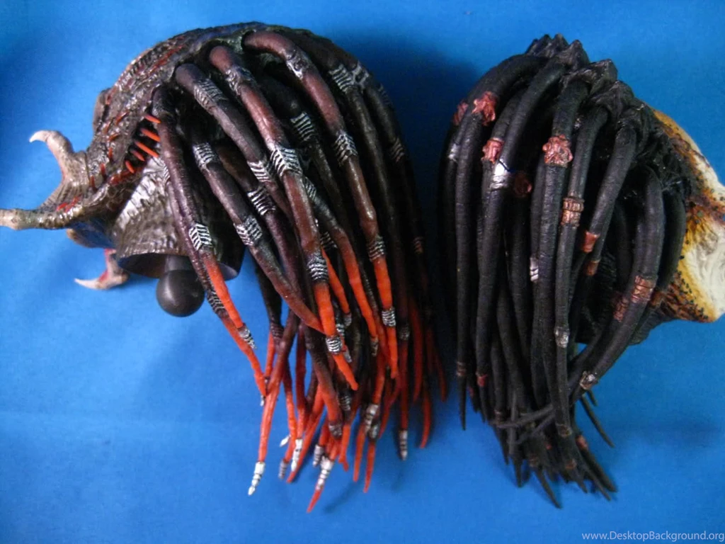 Hot Toys MMS130 Predators: Berserker Predator (Full Spec ...