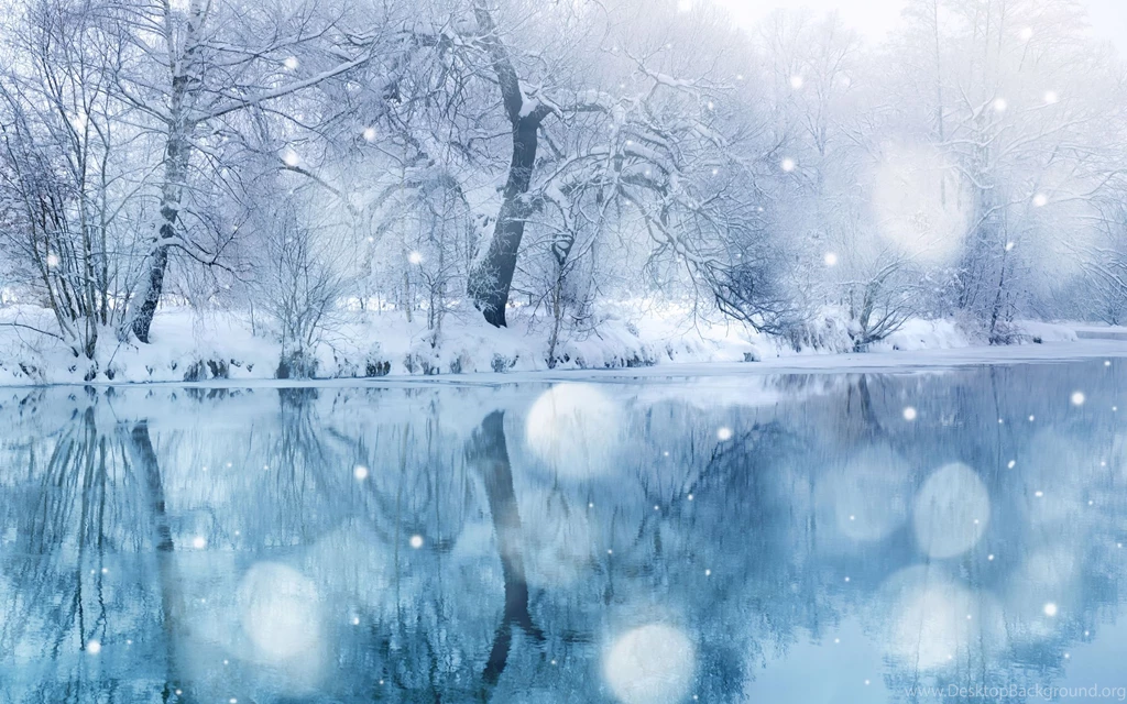 Cold Wonderland Wallpaper Backgrounds