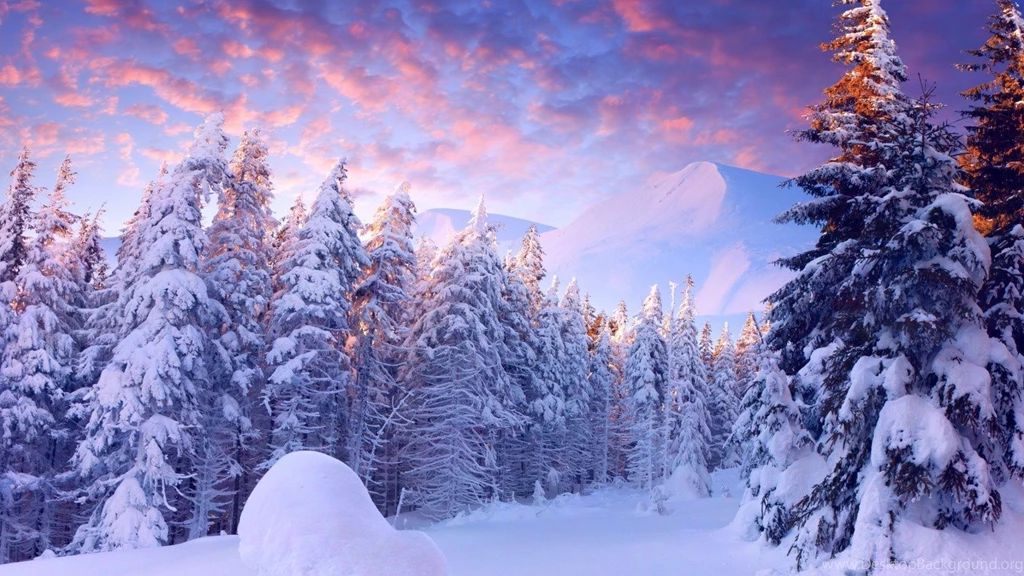 Winter Wonderland Computer Wallpapers, Desktop Backgrounds ...