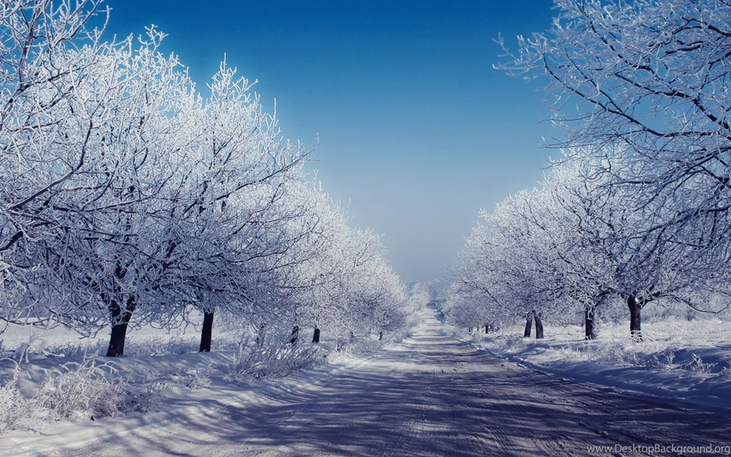 Eight Days On The Winter Road HD Wallpapers Widescreen 1280x800
