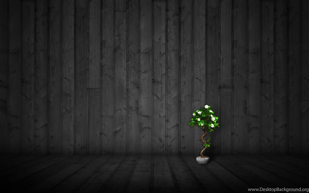 Free Wood Backgrouns